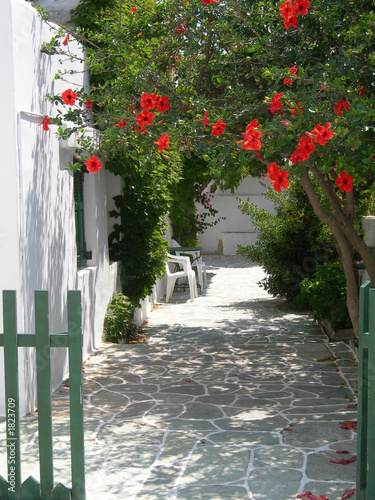 greek island scene photo