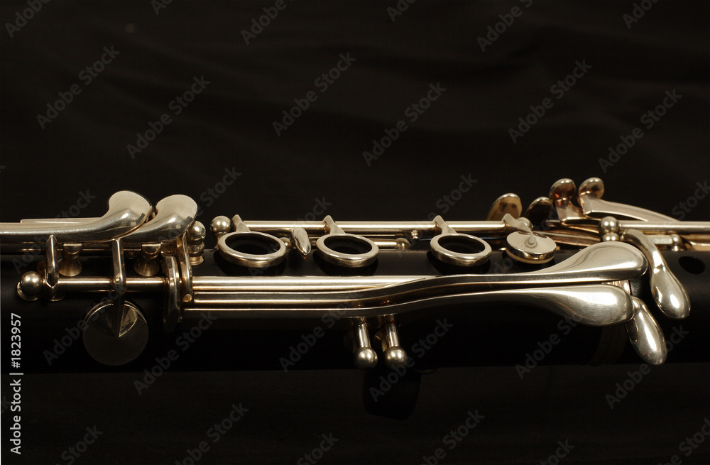 Obraz premium clarinet