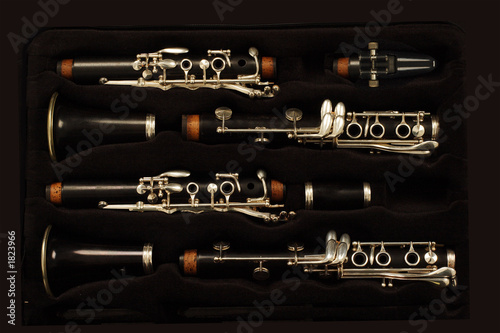 Obraz na płótnie clarinet