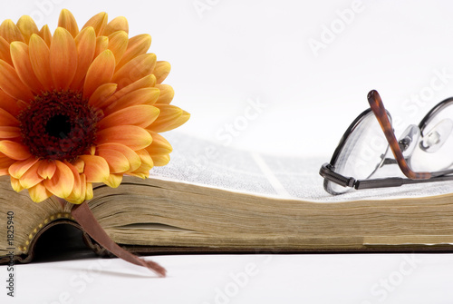 old book and flower