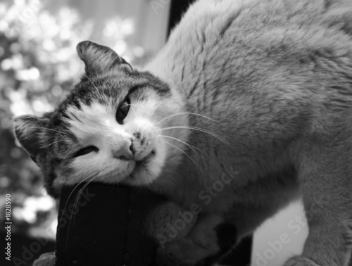 tendresse des rues
