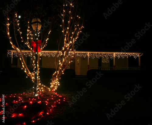 christmas lights