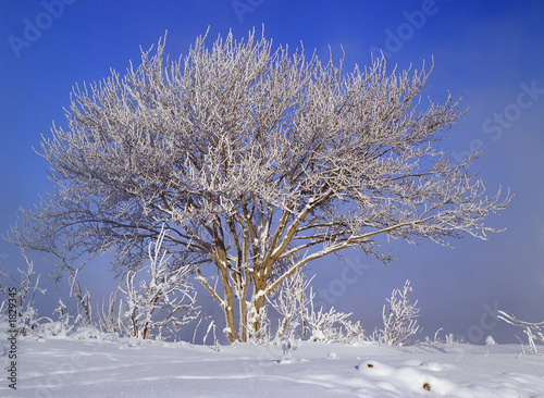 winter