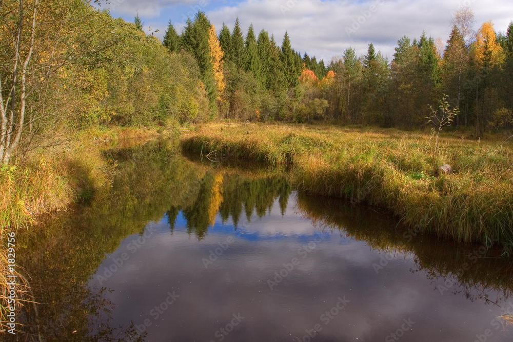 golden autumn