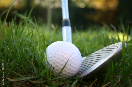 iron out of the rough