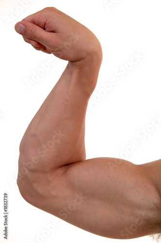 bicep