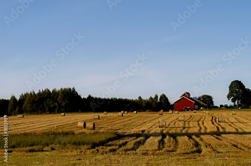 after the harvest