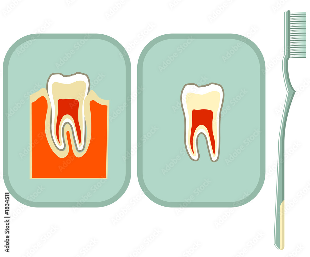 tooth and toothbrush tooth and toothbrush