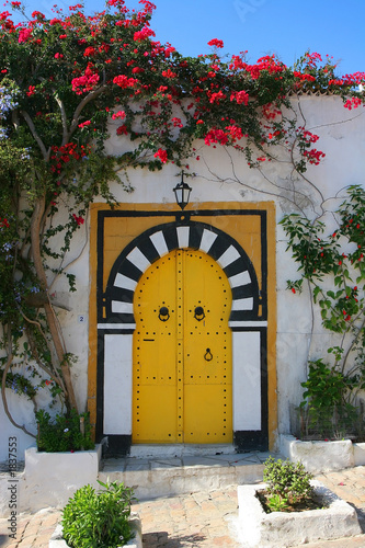 traditional door