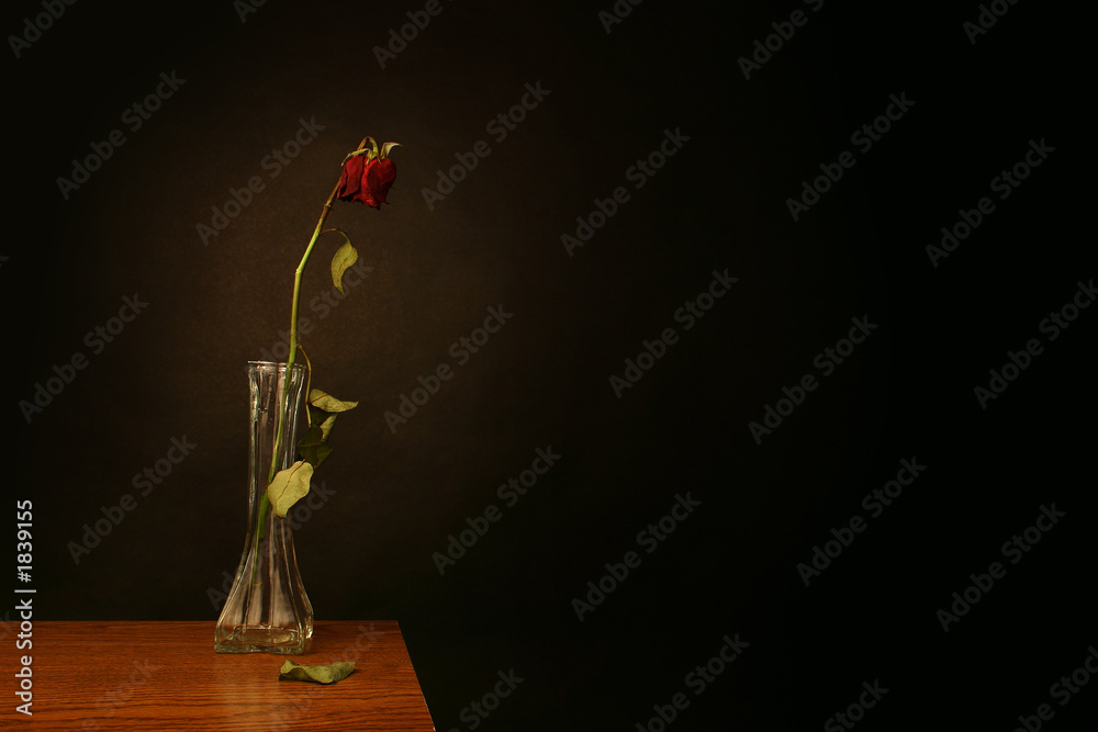 Obraz premium love lost