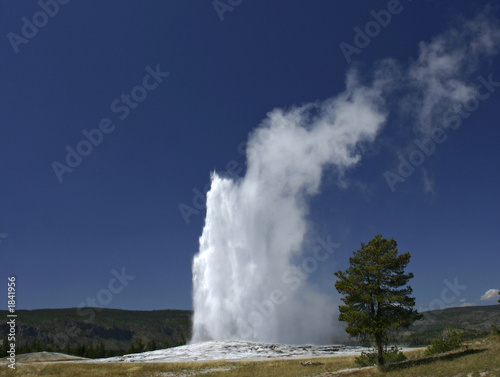 Valokuva old faithful geyser
