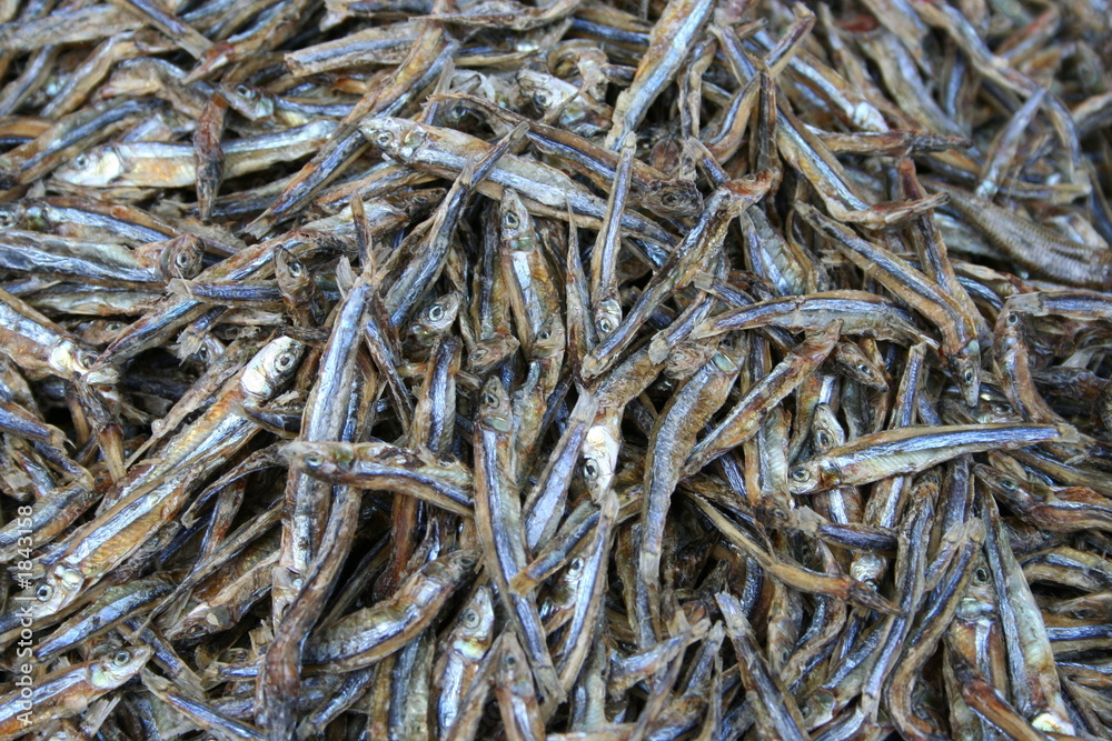 dried fish background