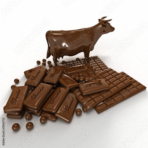 chocolate cow photo