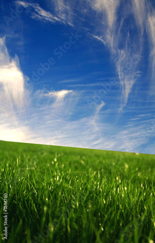 pelouse et ciel