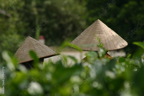 viet nam nord 07