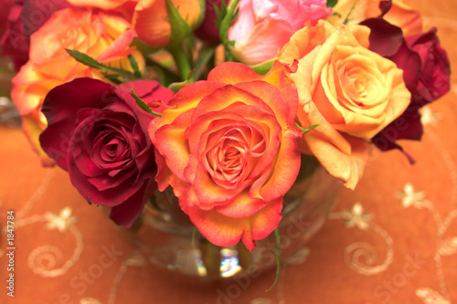 party roses arranged in variety of color