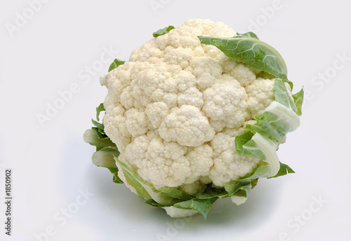 the cauliflower head