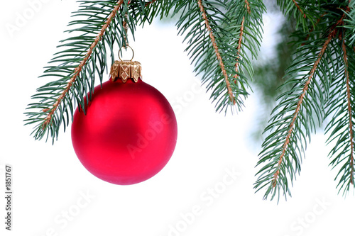 christmas ornament hanging on a tree