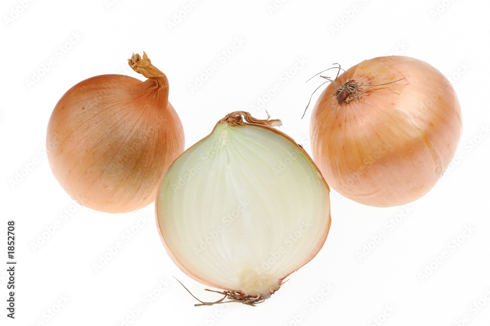Fototapeta premium onions