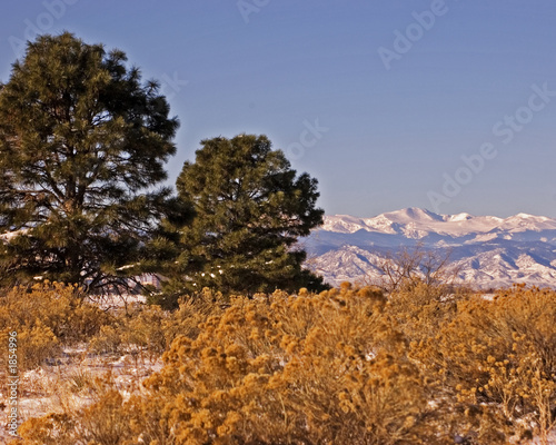 mt. evans in winter