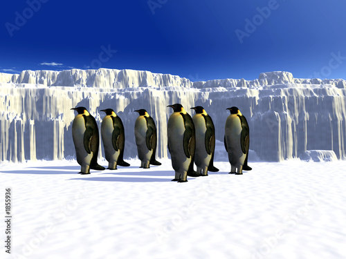 penguins 5