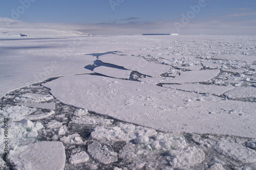 sea ice photo