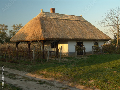 wine-cellar from hungary (buzsak)
