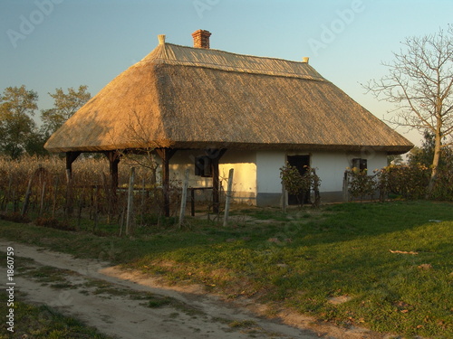 wine-cellar from hungary (buzsak)