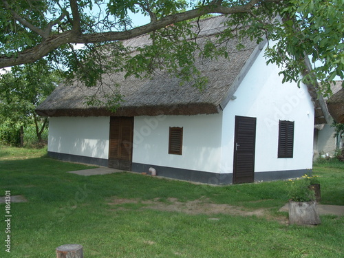 wine-cellar from hungary (buzsak)