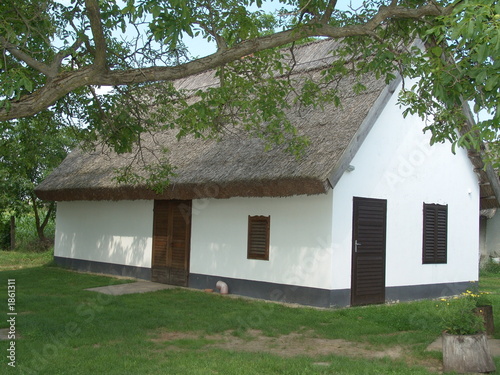 wine-cellar from hungary (buzsak)