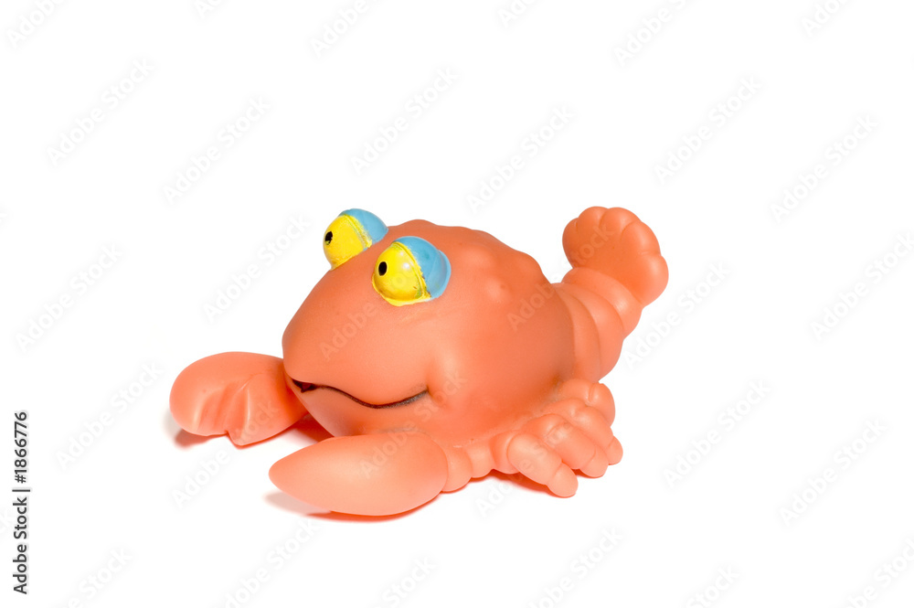 Fototapeta premium crab