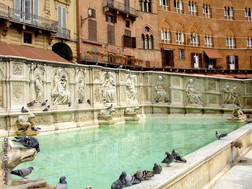 fountain