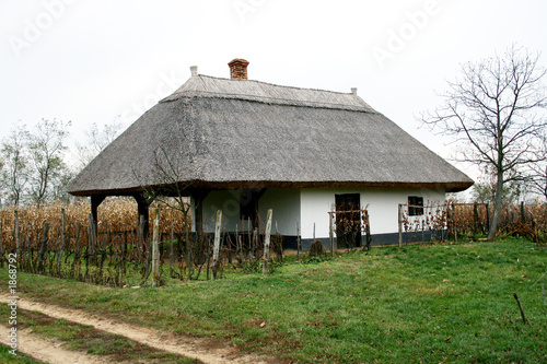 wine-cellar from hungary (buzsak) 5