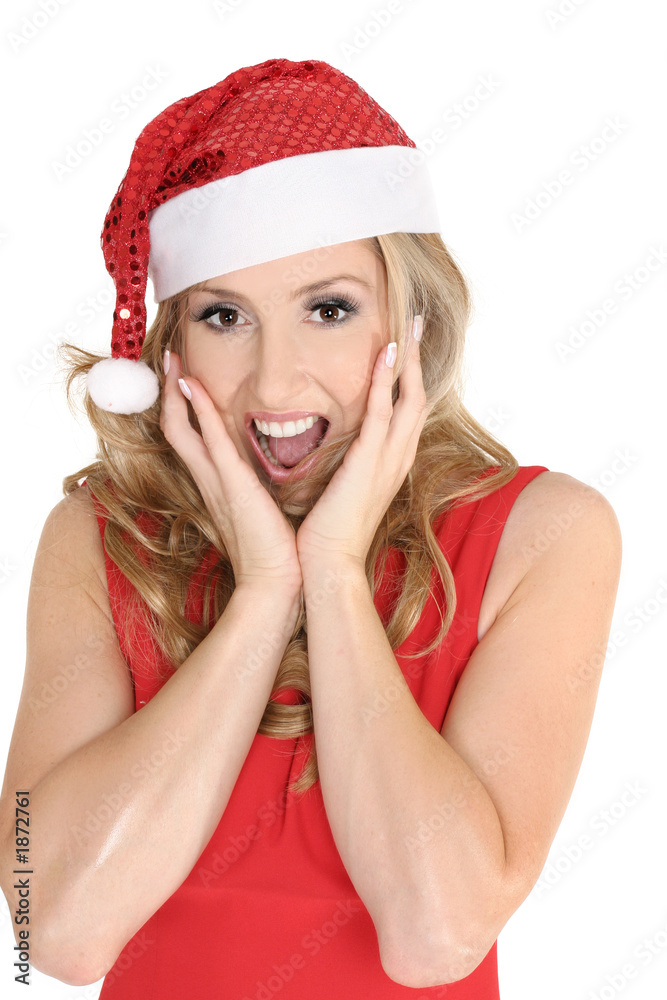christmas surprise christmas surprise