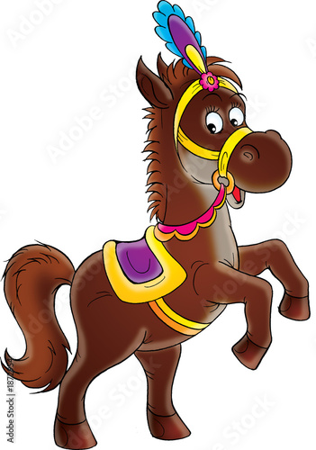 circus horse