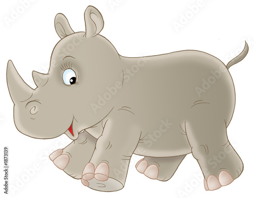 Fotografie, Obraz grey rhinoceros