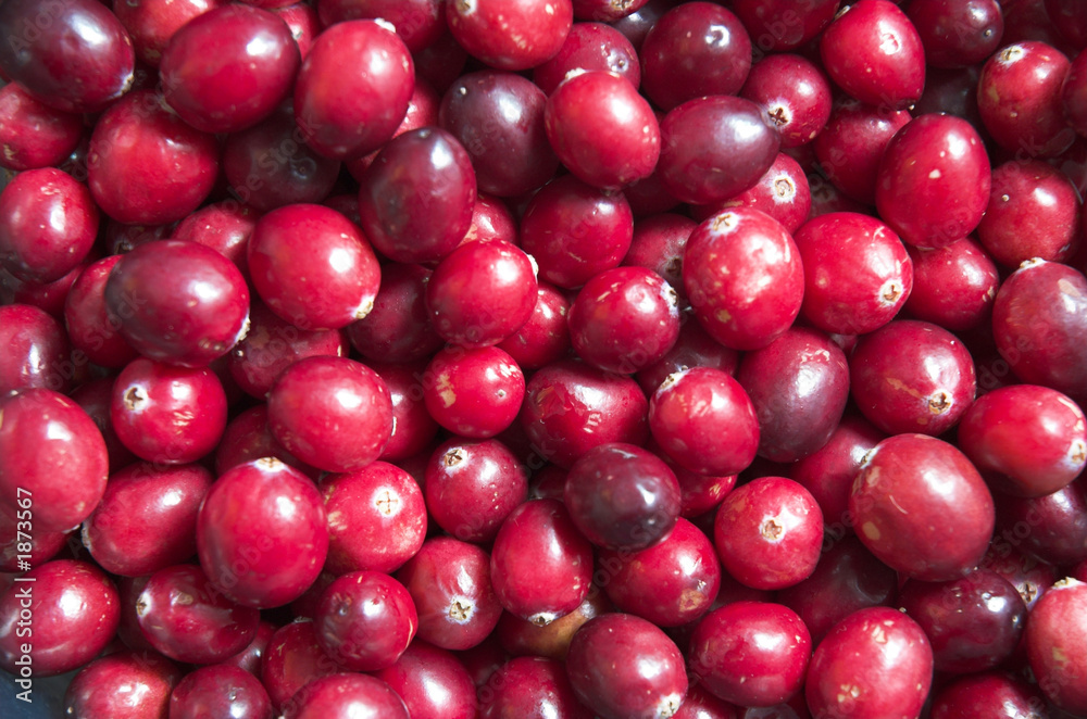 cranberries cranberries