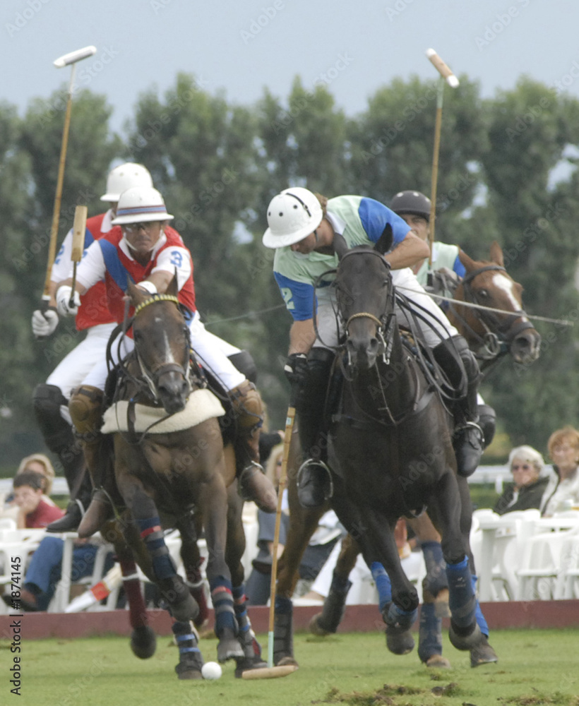 polo polo