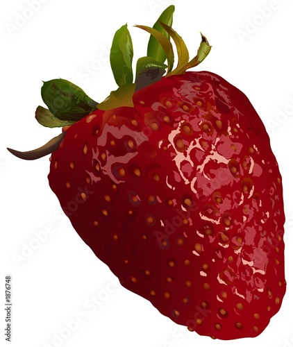 strawberry photo