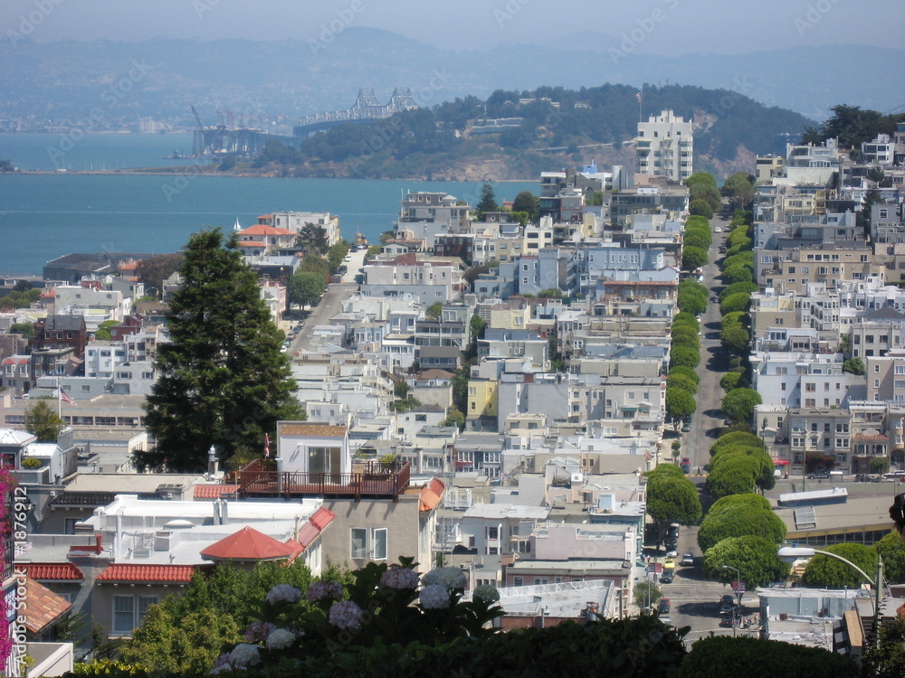 Obraz premium san francisco by day
