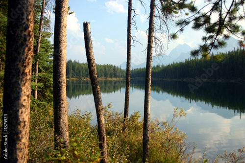 herbert lake