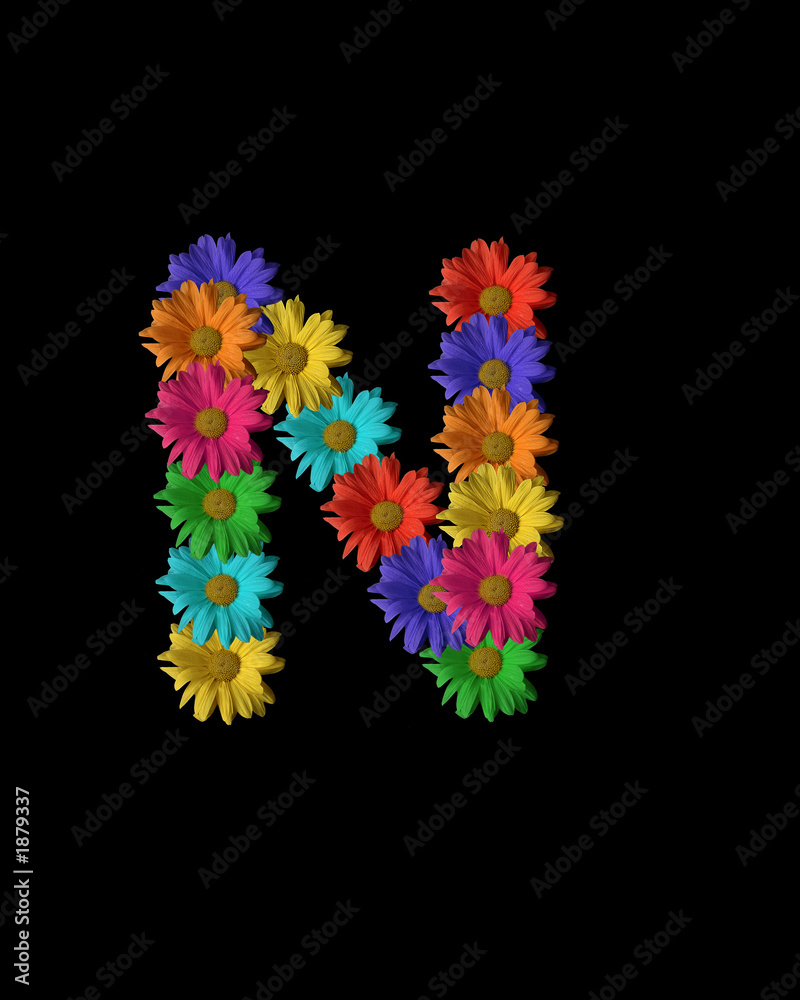 floral n floral n