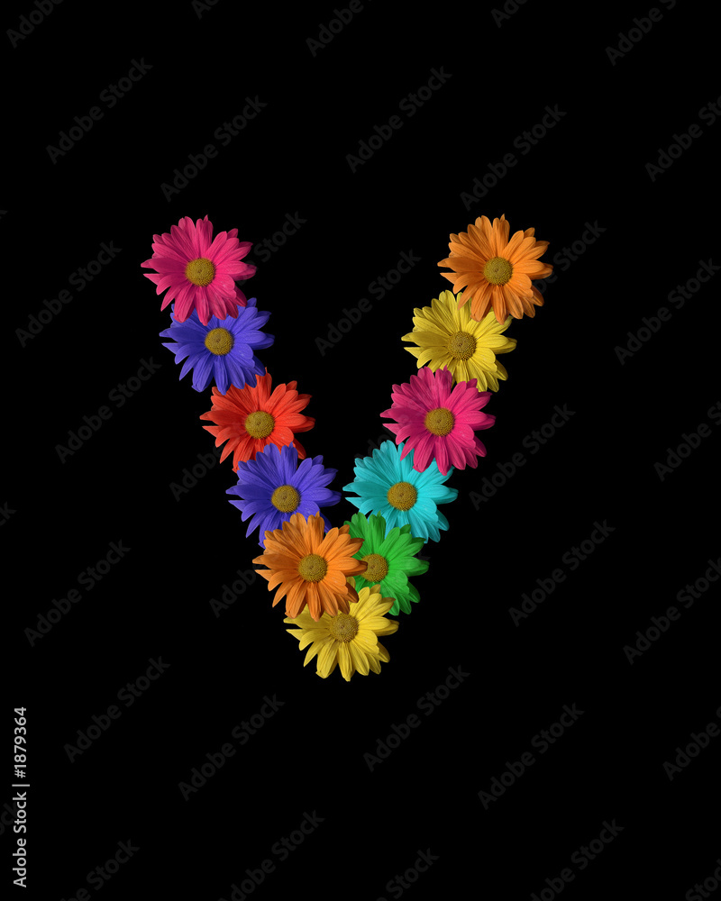 floral v floral v