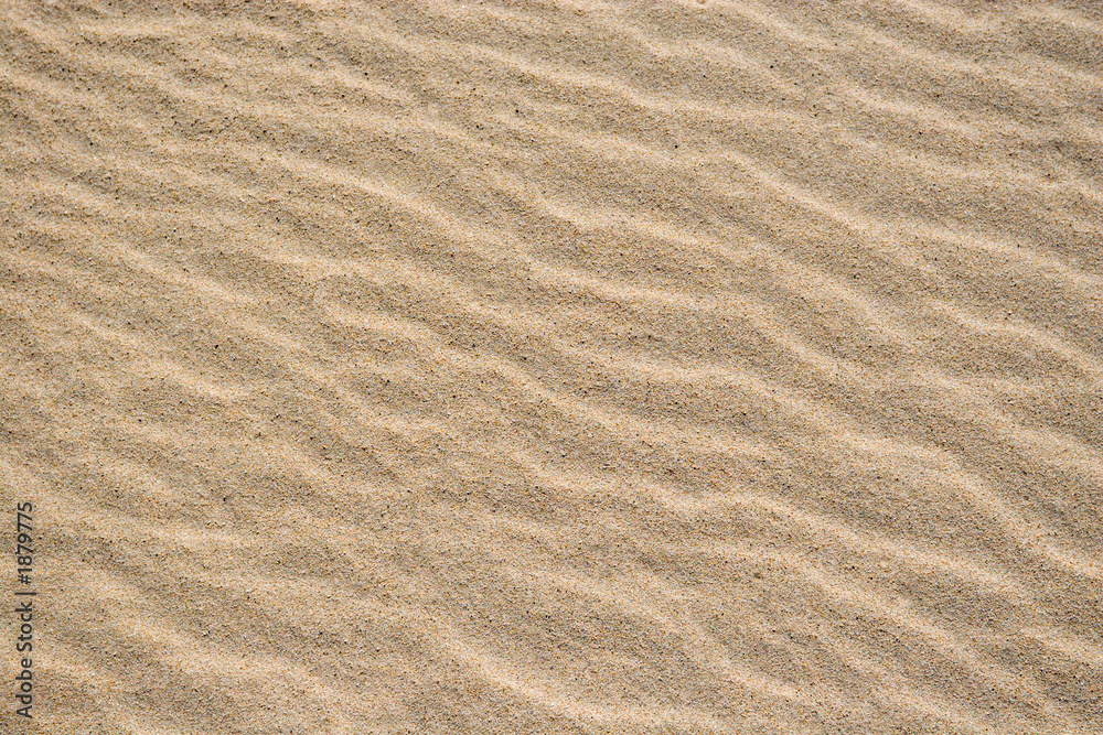 Fototapeta premium dune