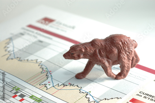 bear stock market