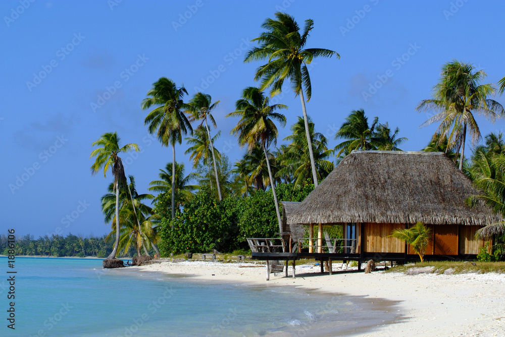 bora bora bora bora