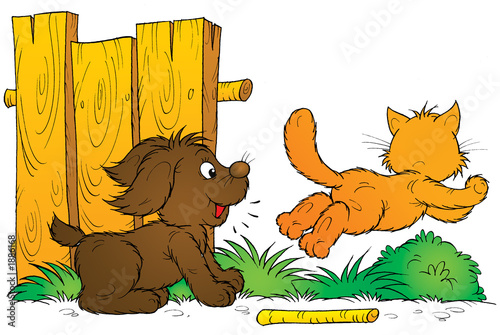 puppy and kitten