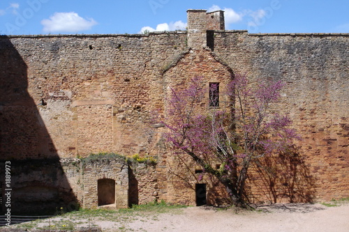 chateau de castelnau-bretenoux photo