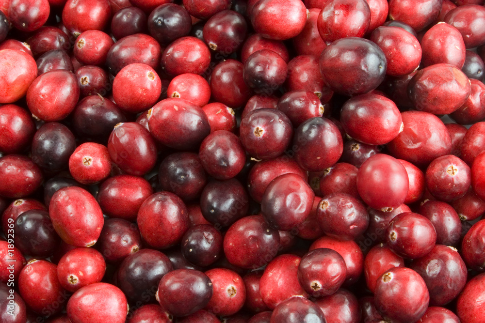 cranberry background