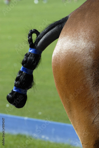 polo